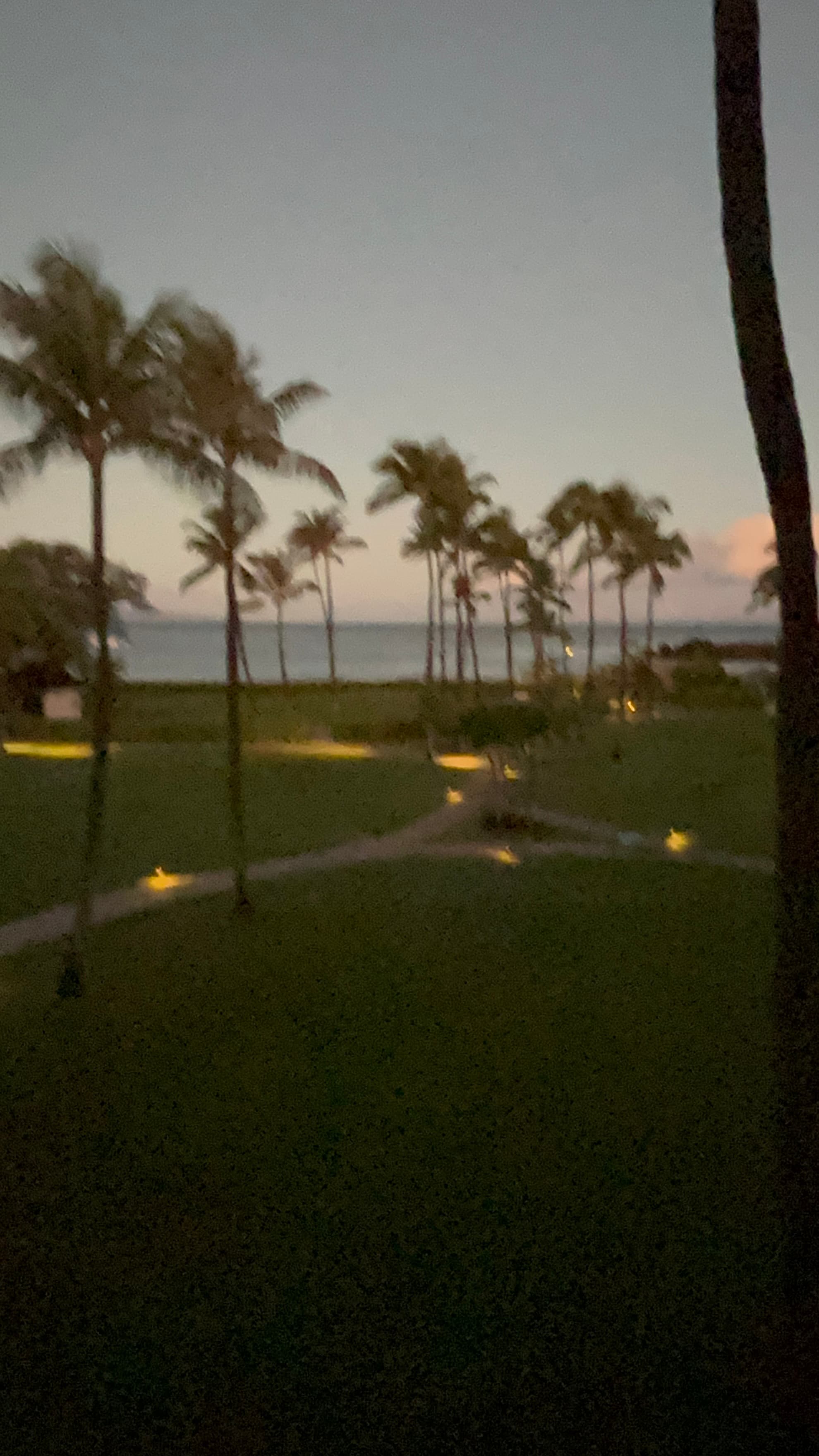 Beautiful landscaped property at dusk